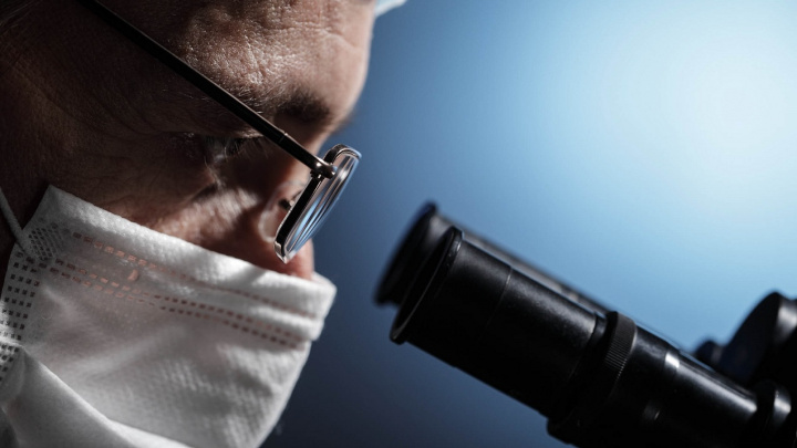 Přelomový objev českých vědců: 'Genetická kamufláž' parazitů před obranyschopností hostitele