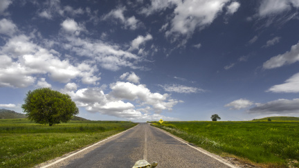 Nejkurióznější brigády: co člověk neudělá pro peníze...