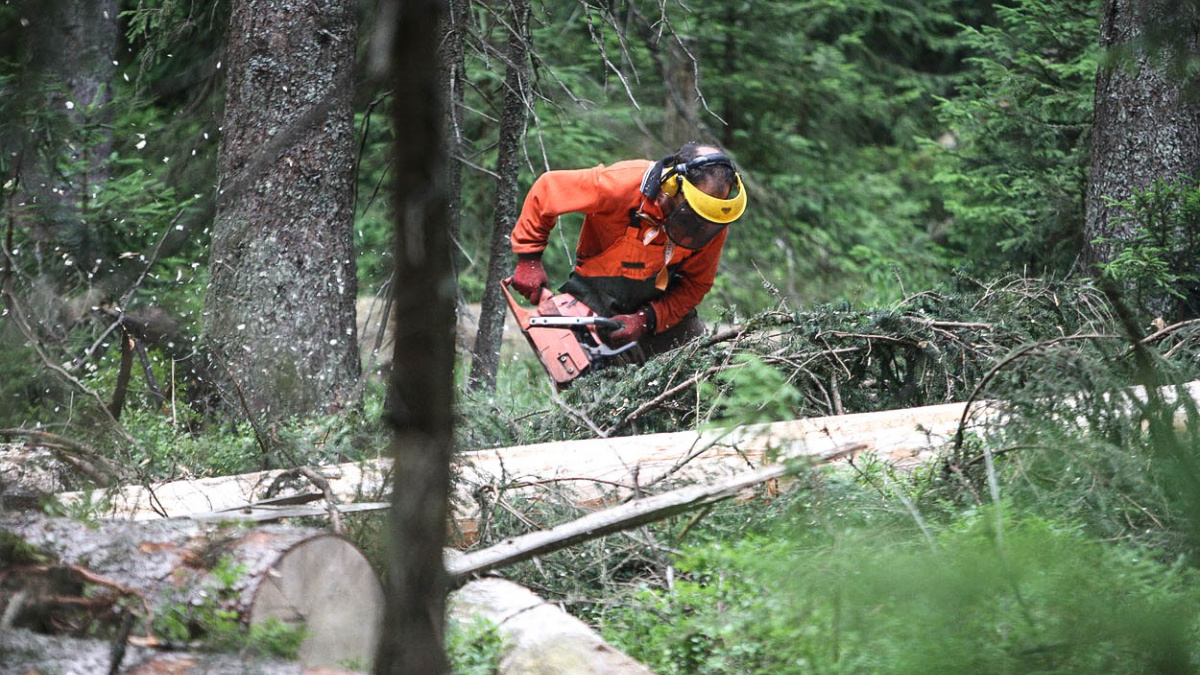 Nová pravidla pro národní parky schválena. Obce chtějí podat ústavní stížnost