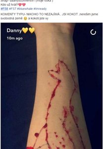 modrá velryba na českém netu