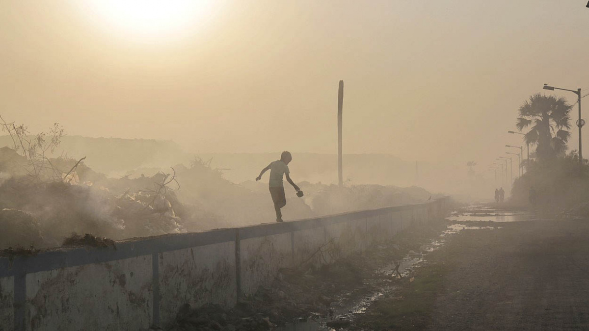 Polétavý zabiják nezná hranic. Může za miliony úmrtí