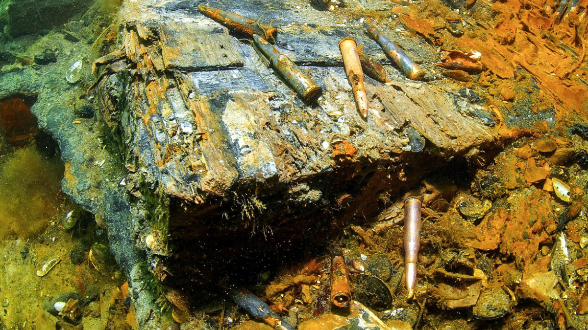 Moře je plné válečného haraburdí. Budeme jíst otrávené ryby?