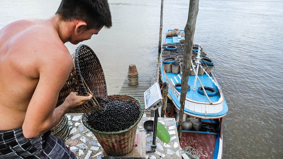 Šílenství jménem superpotraviny: Další trend, na který si za pár let nevzpomeneme?