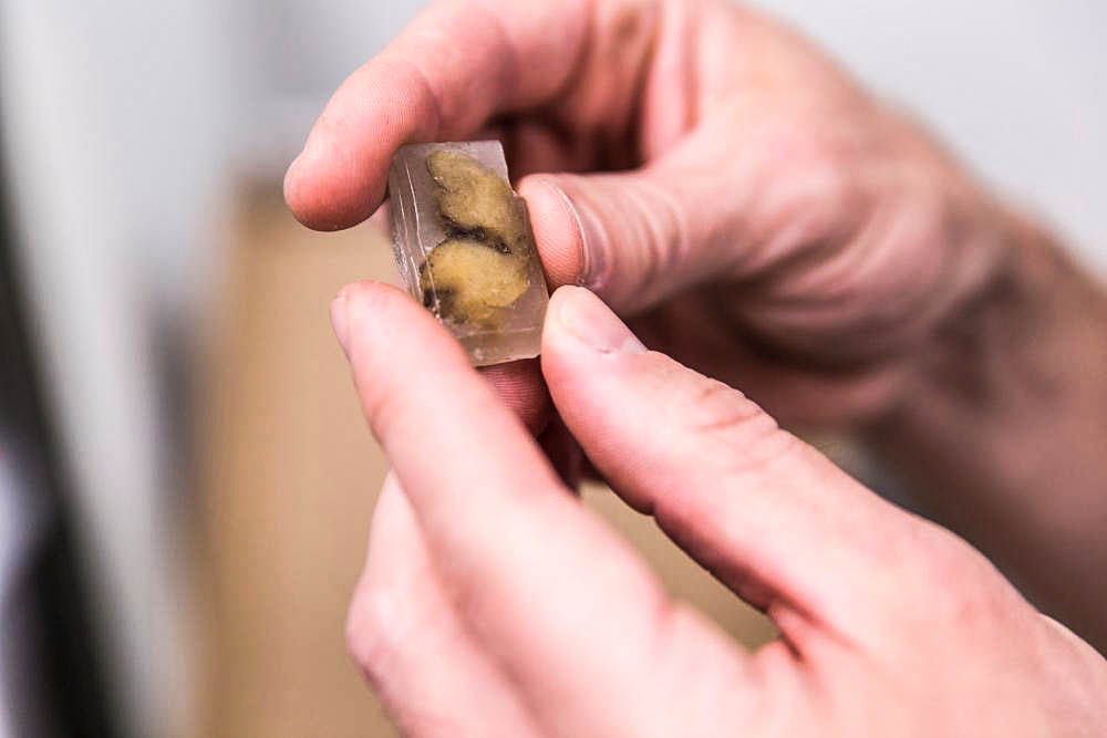 Jaká tajemství skrývají stoleté nádory? Lékařům se podařilo nahlédnout do jejich genomu