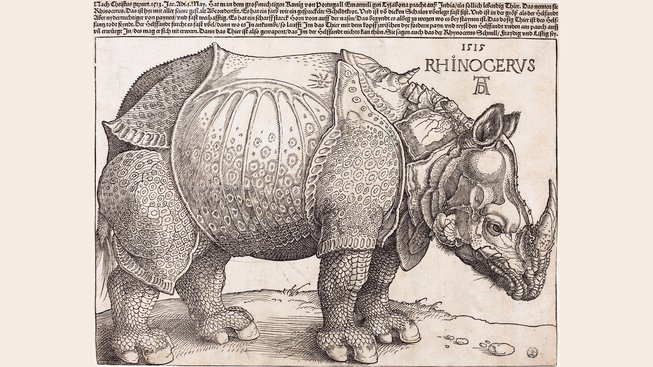 The_Rhinoceros_(NGA_1964.8.697)_enhanced