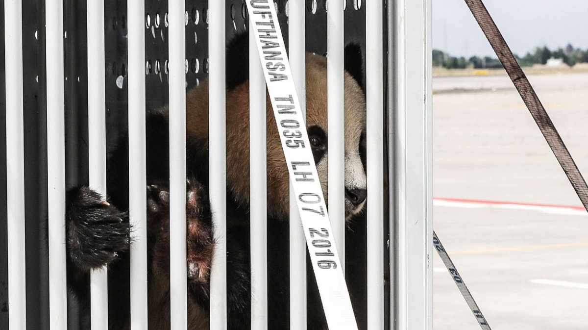 Politická zbraň Číny, před kterou se sklání celý svět