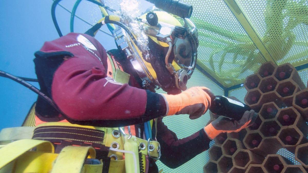 Víno, které zraje pod mořskou hladinou