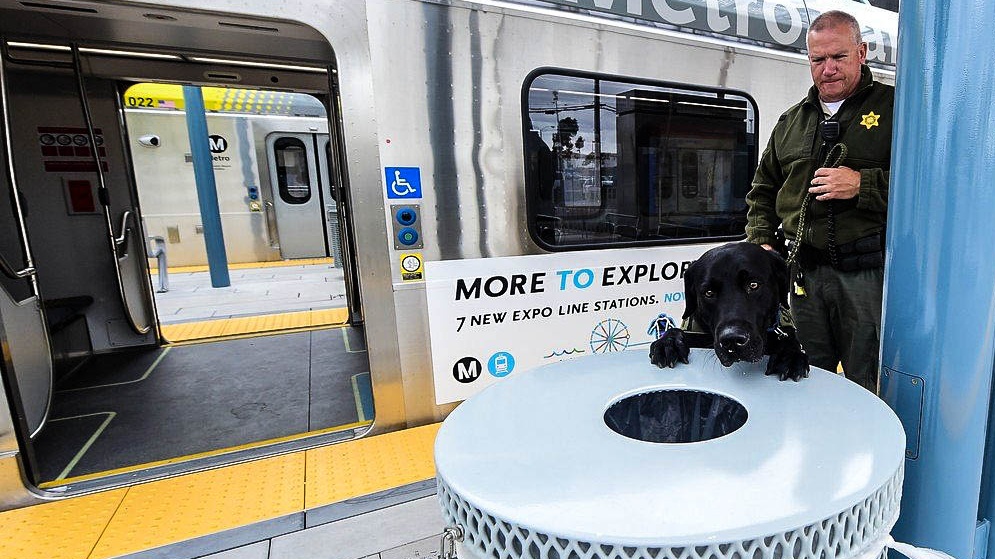 Teroristé si mnou ruce: Ubývá expertů na vyčmuchání výbušnin