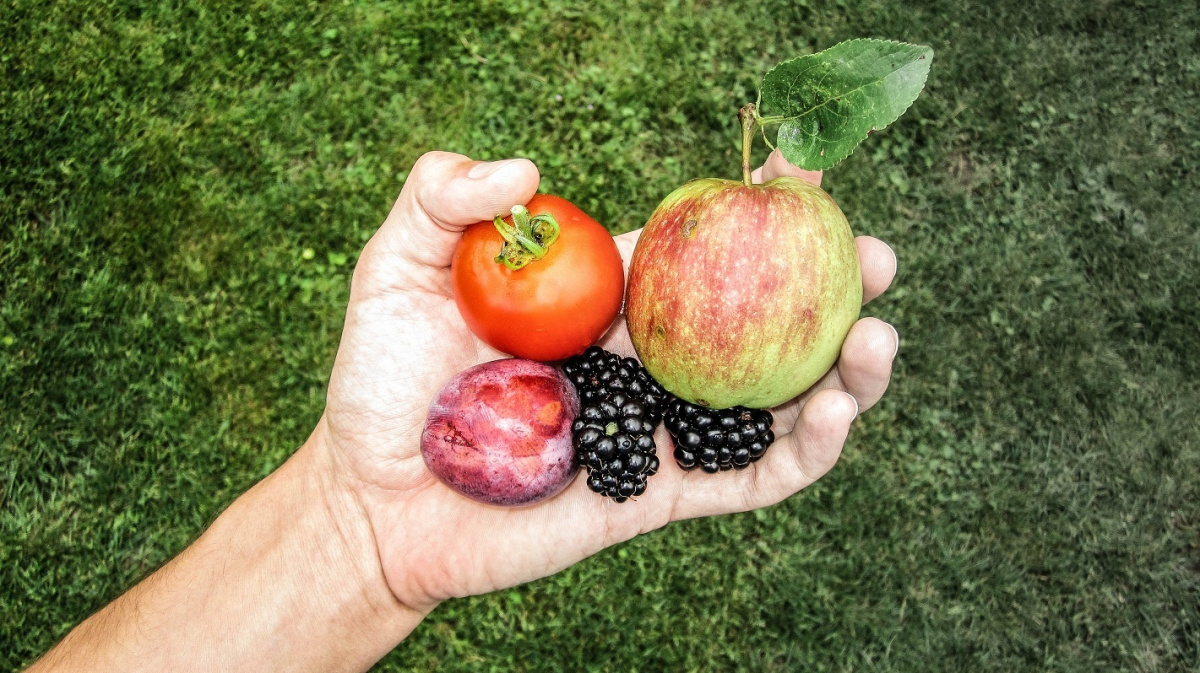 Ovocné hody jsou tady. Pozor ale na to, kolik ho sníte!