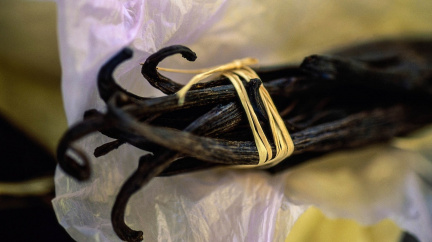 Vanilka nad zlato: Zdražuje nejen máslo, ale i voňavé koření