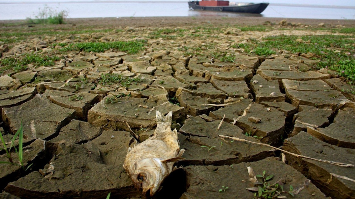 Krutý byznys s pískem 'zabíjí' řeky a ožebračuje lidi