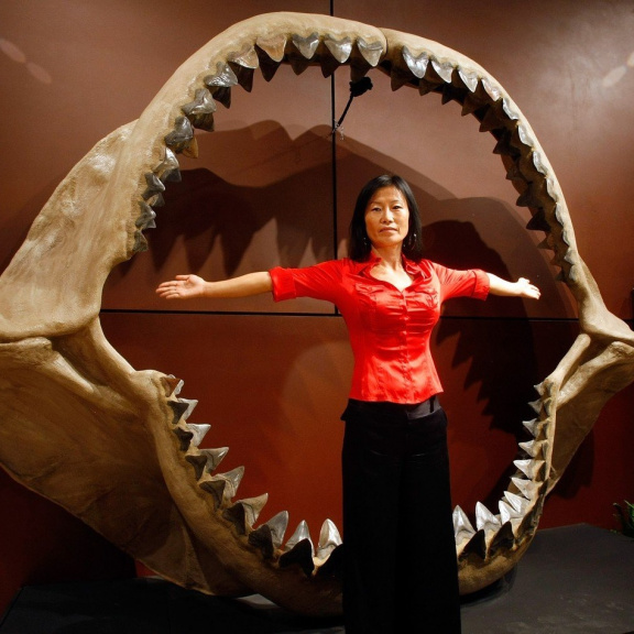 Největší žralok v dějinách podlehl 'utajenému' vymírání