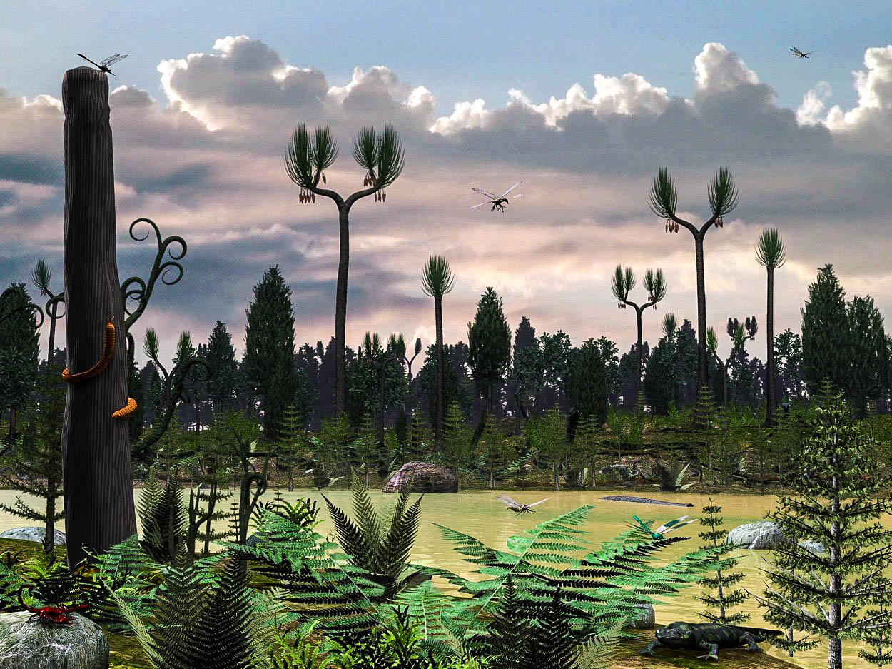 Paleontologové odhalili, jak rostly první stromy. Zapomeňte na letokruhy