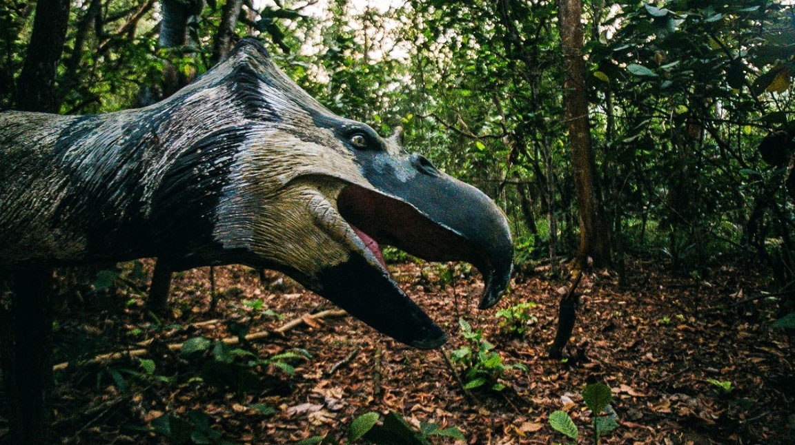 Objevy o dinosaurech boří původní představy. Nebyli samotáři, rádi se tulili