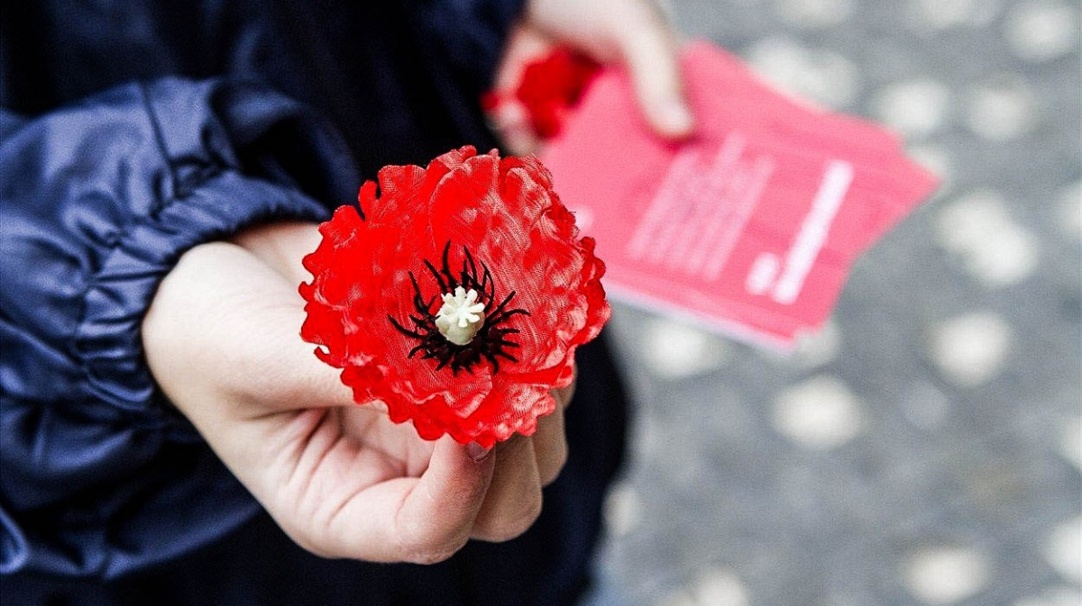 Den válečných veteránů v Česku: Víte, jaký je smysl vlčích máků?