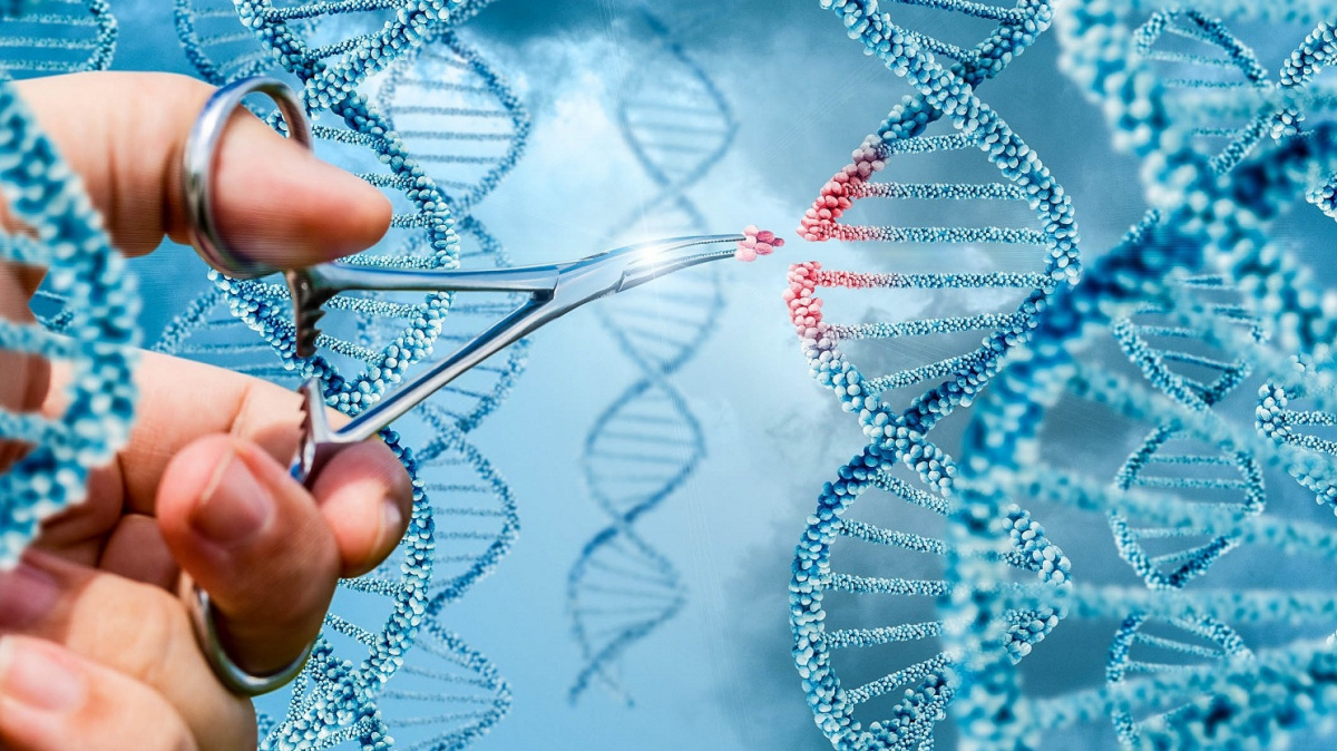 Vědci poprvé 'střihli' do DNA přímo v těle pacienta