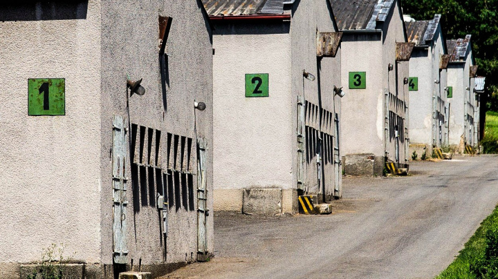 Stát koupil vepřín v Letech, sanace vyjde na 90 milionů