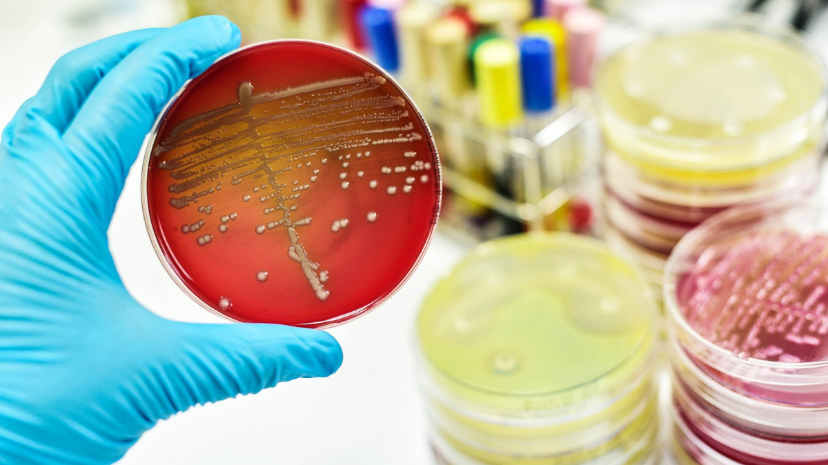 Velký objev českých vědců: Usnadnili cestu k řešení 'antibiotické krize'?