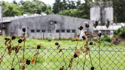 Romský holokaust v Česku: Nemalujme si historii na růžovo