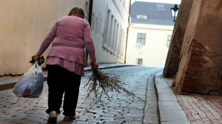Skoro třetina důchodců šla do penze předčasně, ztrátě peněz navzdory