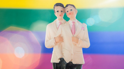Komentář: Velí příroda, aby gayové a lesby uzavírali manželství?