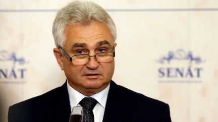 Nechceme do vlády s ANO, hlásí senátoři za ČSSD. Hamáček je zmaten