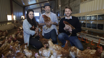 Čekala je jistá smrt, místo toho nesou 'šťastná vejce'