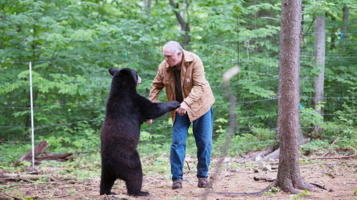 Seznamte se s medvědím 'otcem'. Zvou si ho i do Číny, aby jim poradil s pandami