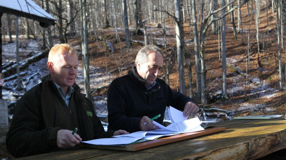 'Kůrovec' odvolal šéfa Lesů ČR. Problém byl ale v počasí, brání se Szórád