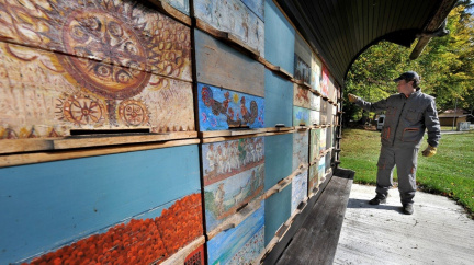 V zemi s největším počtem úlů včely velebí i vedle nich uléhají