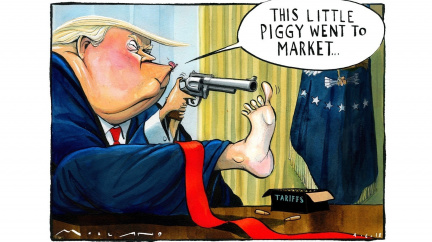 Je logické vytáhnout do boje proti spojencům i soupeřům?