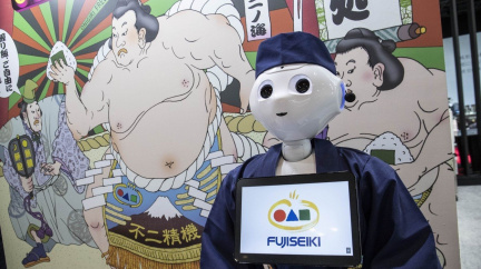 Komentář: Kdo nepracuje, ať se nají