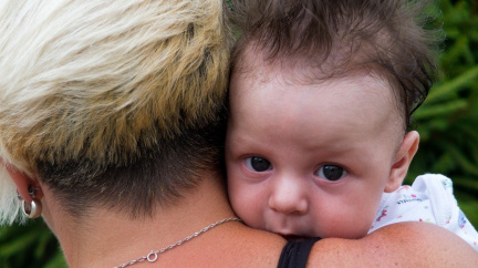 Návrh na doplatek rodičovské je dle vlády nekoncepční. Změnu názvu nepodpořila