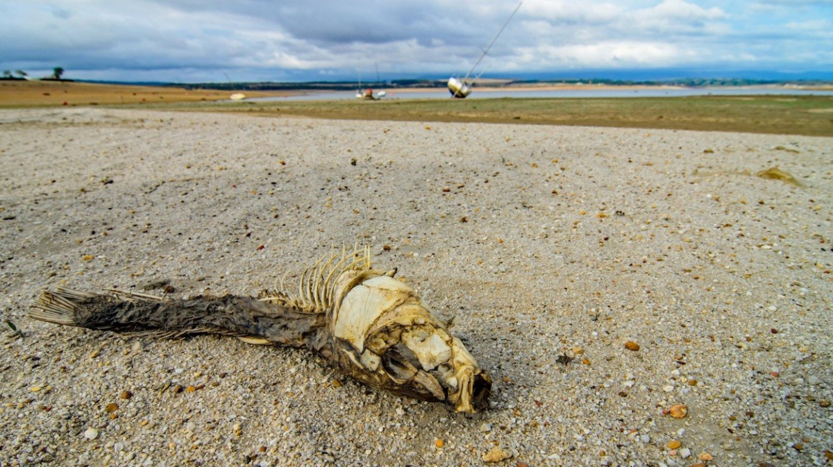 Nové řešení sucha: 'Ulovit', rozřezat a vymačkat ledovce z Antarktidy