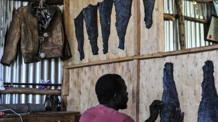 Kabelky s nádechem rybiny: Z vyhozených zbytků ryb vznikají luxusní doplňky