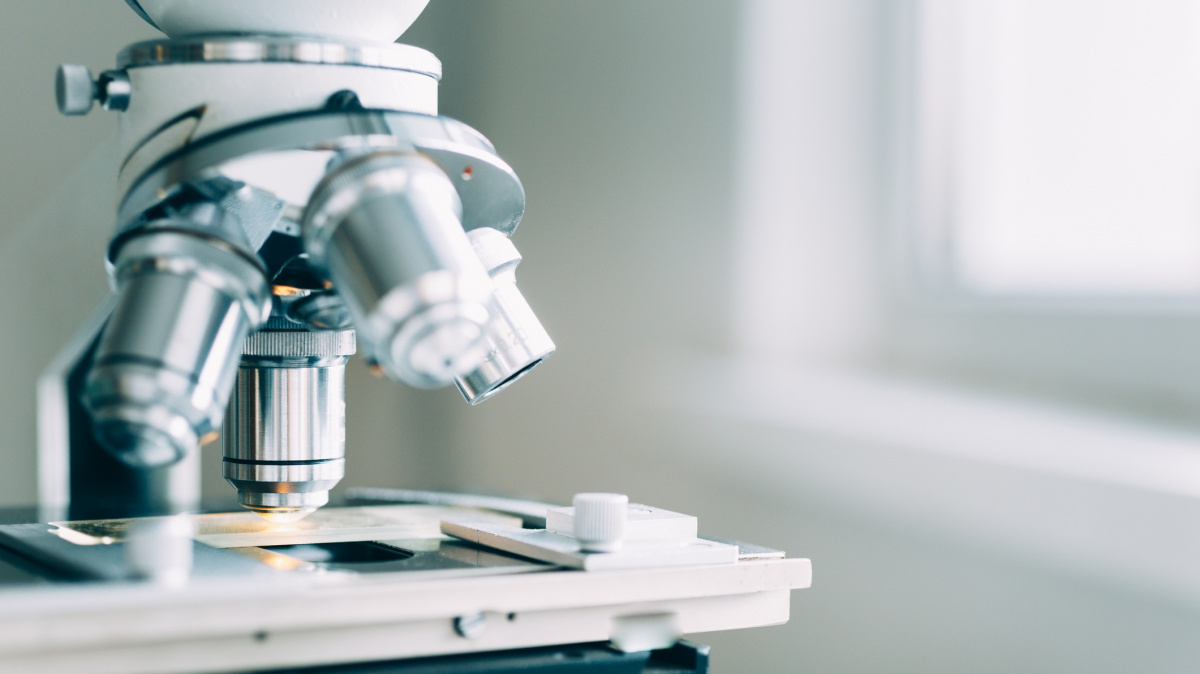 Věda polyká stále více peněz, Česko ovšem v inovacích neperlí