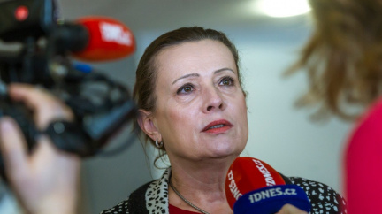 Aktualizováno: Vitáskové hrozí až 10 let za mřížemi. Kvůli přijetí Vesecké do vedení ERÚ