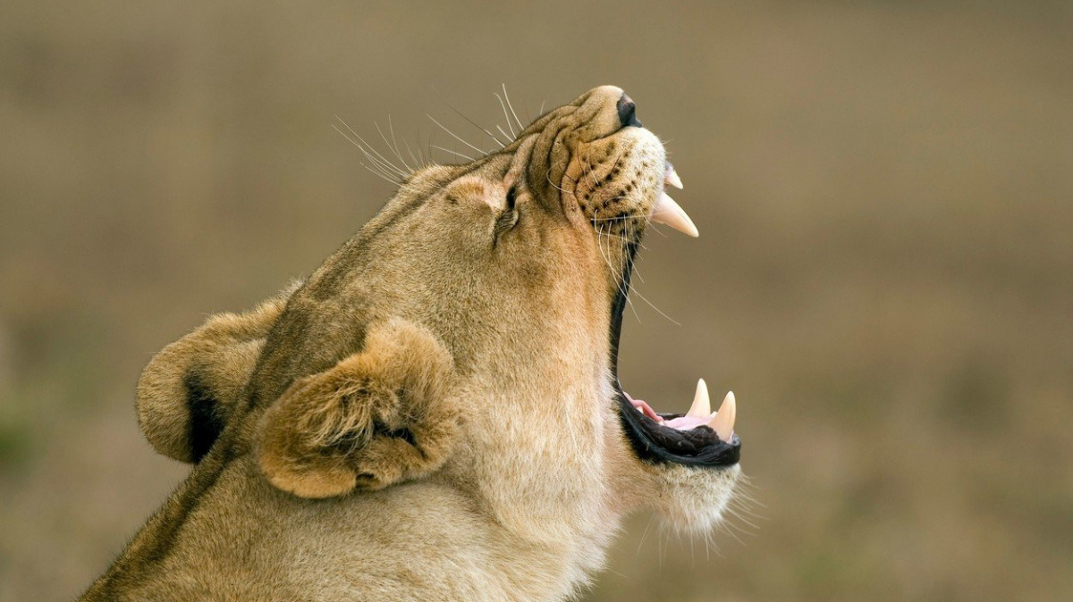 Matky zuří, zasáhla je internetová šťára