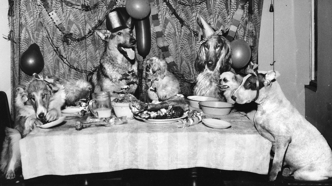 Vláda chystá mejdan. Rozšoupnete se i vy?