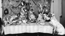 Komentář: Vláda chystá mejdan. Rozšoupnete se i vy?