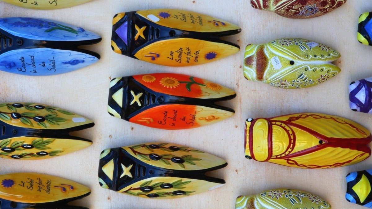 Zpěv cikád vyhání z Francie turisty