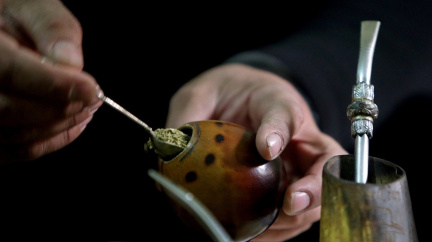 Kam až může dojít legalizace aneb Marihuanové maté v regálech supermarketů