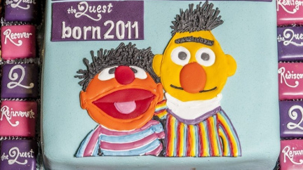 Jsou Bert a Ernie jen spolubydlící, nebo rovnou milenci?