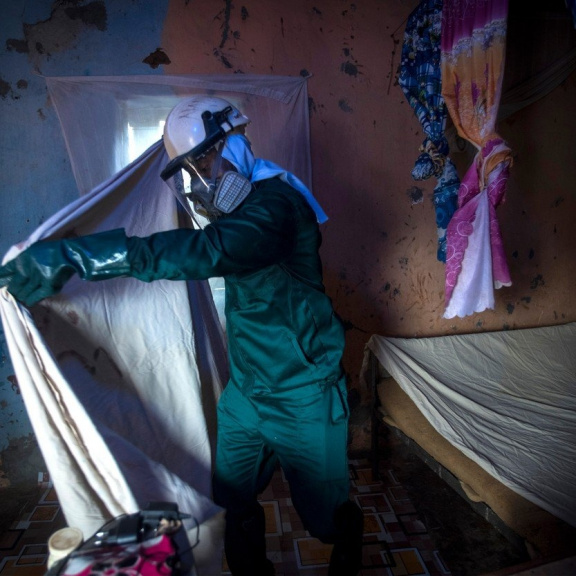 Přesune se malárie do kronik? Pomohou zmutovaní komáři