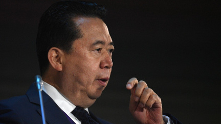 Problém 'nalezeného' exšéfa Interpolu: Vyšetřují ho kvůli úplatkům, ve hře však může být víc