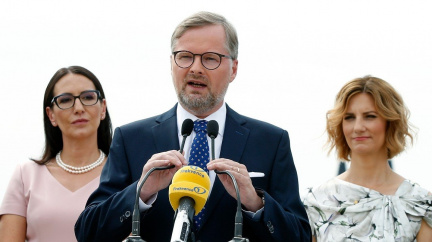 Komentář: Modrý pták coby alternativa?