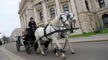 Nad vídeňskými fiakry visí Damoklův meč