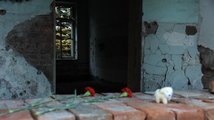 Beslan – jizva na tváři Ruska