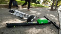 Hlavní problém metropole? Zelenobílý postrach!