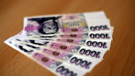 Snadno se svým příjmem vyjde více než polovina domácností